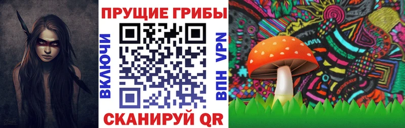 Псилоцибиновые грибы прущие грибы  Любань 